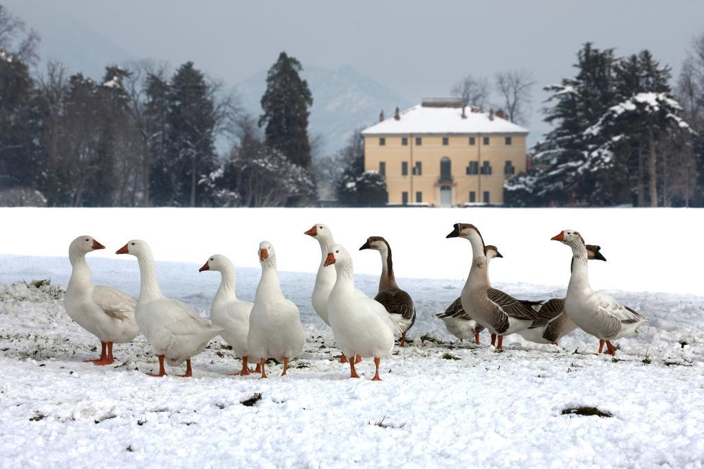 Agriturismo Il Torrione Pinerolo Bagian luar foto