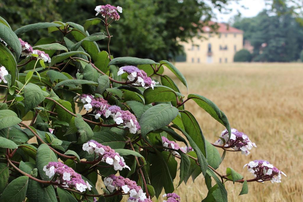 Agriturismo Il Torrione Pinerolo Bagian luar foto